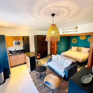  Apartment Au Bord De L'eau Climatise Avec Terrasse Et Vue A 40m De La